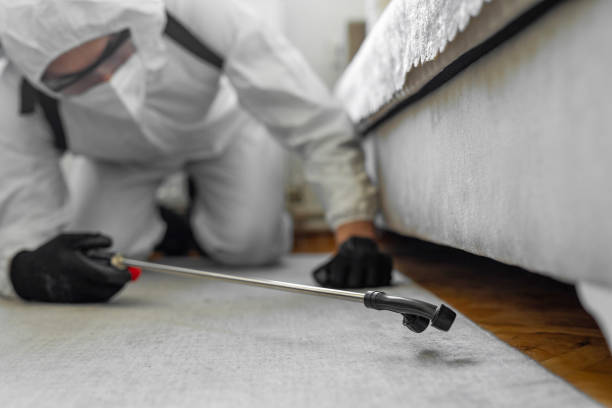 Professional Bed Bug Control technician working in Lawrence County County, IL